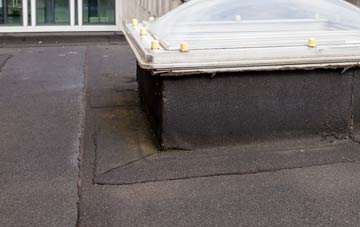 disadvantages of Seaforde flat roofs