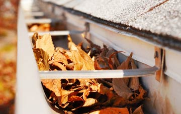 Seaforde gutter cleaning companies