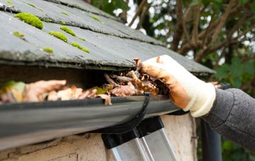 gutter cleaning Seaforde, Down