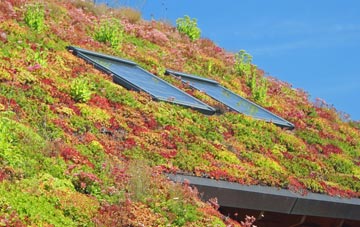 Seaforde living roof systems