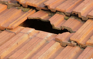 roof repair Seaforde, Down