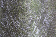 Seaforde fibreglass roof work