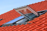 Seaforde roof window
